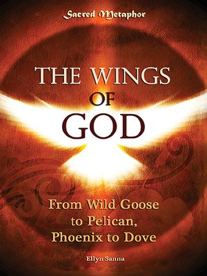cover image of The Wings of God